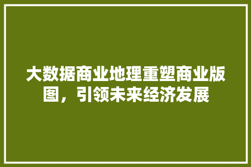 大数据商业地理重塑商业版图，引领未来经济发展