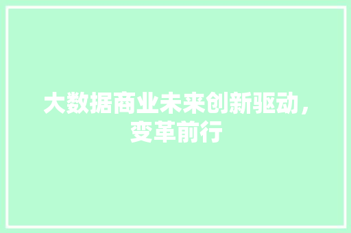 大数据商业未来创新驱动，变革前行 建站教程