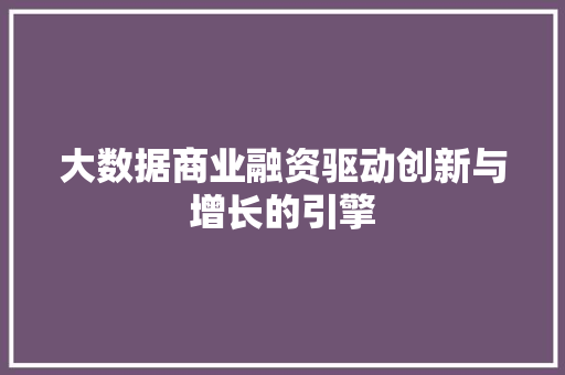 大数据商业融资驱动创新与增长的引擎