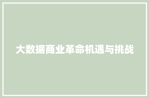 大数据商业革命机遇与挑战 建站教程