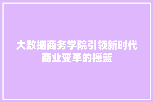 大数据商务学院引领新时代商业变革的摇篮 SEO教程