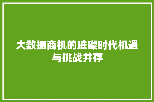 大数据商机的璀璨时代机遇与挑战并存