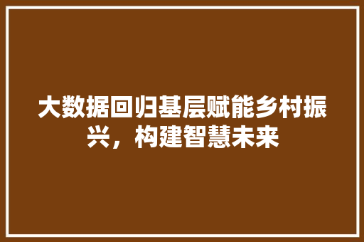 大数据回归基层赋能乡村振兴，构建智慧未来
