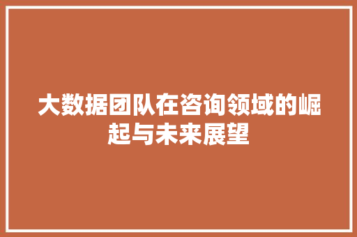 大数据团队在咨询领域的崛起与未来展望 友链在线