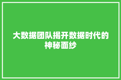 大数据团队揭开数据时代的神秘面纱 SEO教程