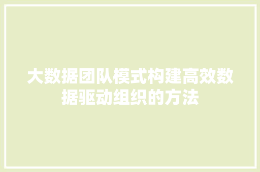 大数据团队模式构建高效数据驱动组织的方法