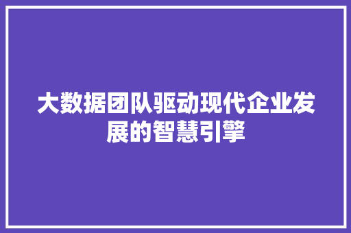 大数据团队驱动现代企业发展的智慧引擎 SEO教程