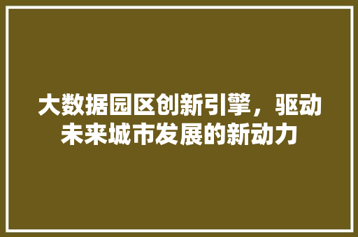 大数据园区创新引擎，驱动未来城市发展的新动力