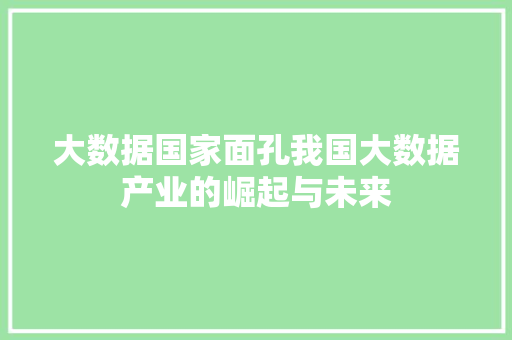 大数据国家面孔我国大数据产业的崛起与未来 服务器/数据库
