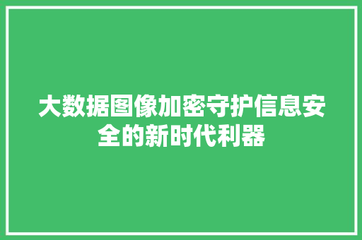 大数据图像加密守护信息安全的新时代利器 友链在线