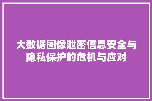 大数据图像泄密信息安全与隐私保护的危机与应对