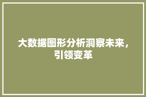 大数据图形分析洞察未来，引领变革 Web前端