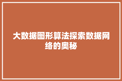 大数据图形算法探索数据网络的奥秘 Web前端