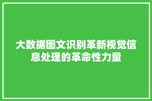 大数据图文识别革新视觉信息处理的革命性力量 Web前端