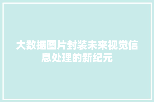 大数据图片封装未来视觉信息处理的新纪元 Web前端