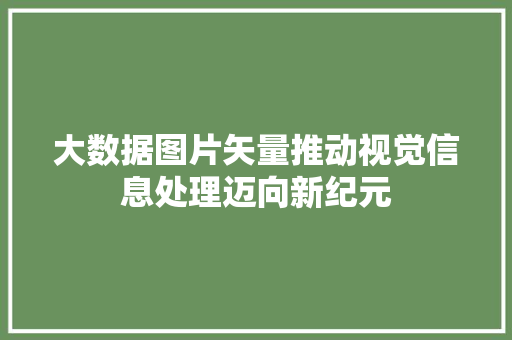 大数据图片矢量推动视觉信息处理迈向新纪元 SEO教程