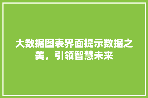 大数据图表界面提示数据之美，引领智慧未来 服务器/数据库