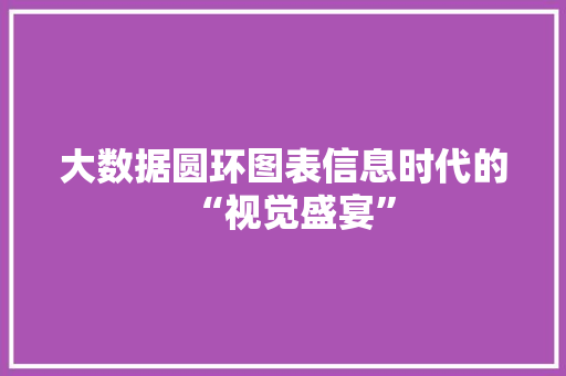 大数据圆环图表信息时代的“视觉盛宴”