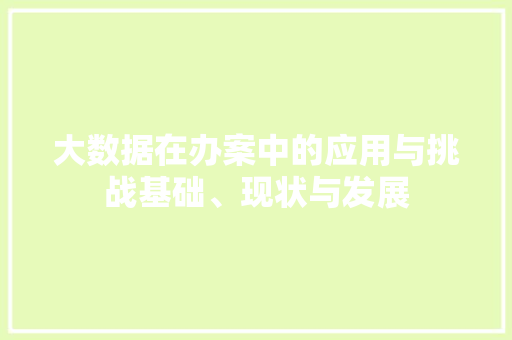 大数据在办案中的应用与挑战基础、现状与发展