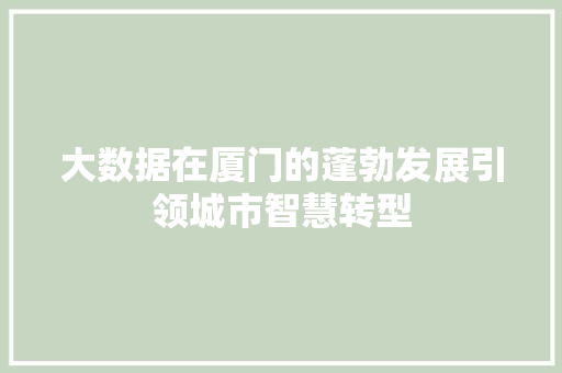 大数据在厦门的蓬勃发展引领城市智慧转型