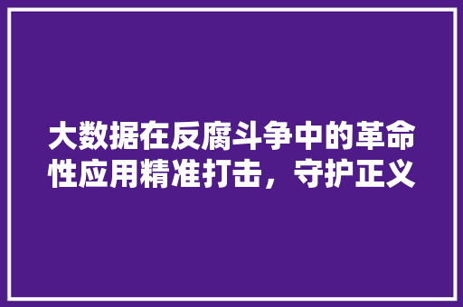 大数据在反腐斗争中的革命性应用精准打击，守护正义 Web前端