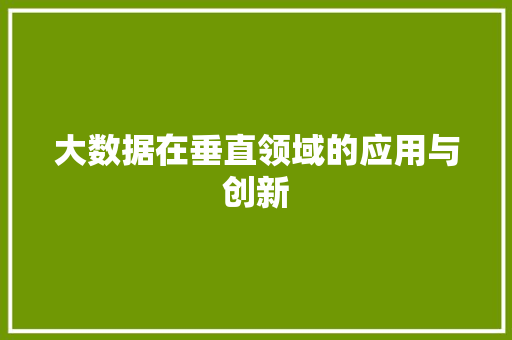 大数据在垂直领域的应用与创新