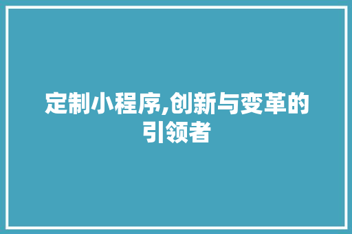 定制小程序,创新与变革的引领者