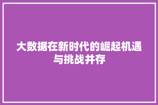 大数据在新时代的崛起机遇与挑战并存 SEO教程