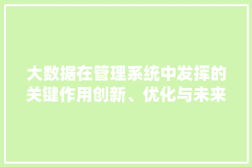 大数据在管理系统中发挥的关键作用创新、优化与未来展望