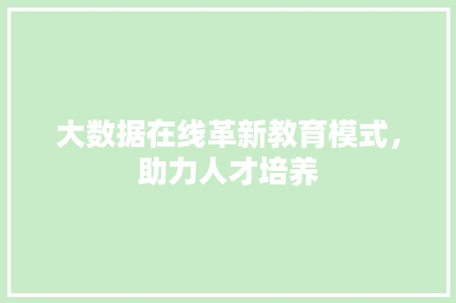 大数据在线革新教育模式，助力人才培养 SEO教程