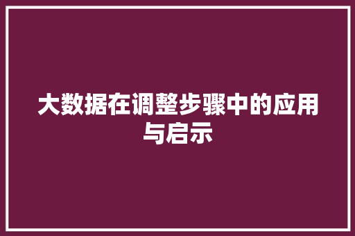 大数据在调整步骤中的应用与启示