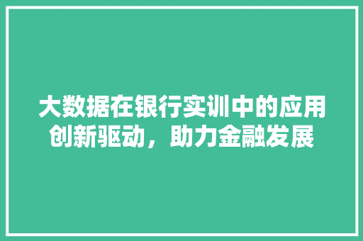 大数据在银行实训中的应用创新驱动，助力金融发展 SEO教程