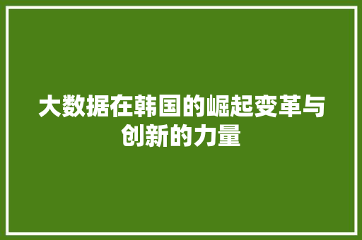 大数据在韩国的崛起变革与创新的力量 友链在线
