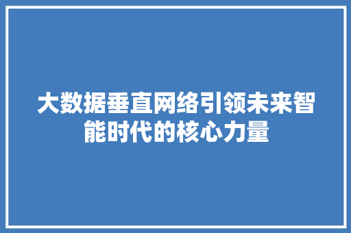 大数据垂直网络引领未来智能时代的核心力量