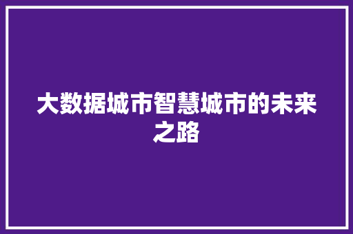 大数据城市智慧城市的未来之路