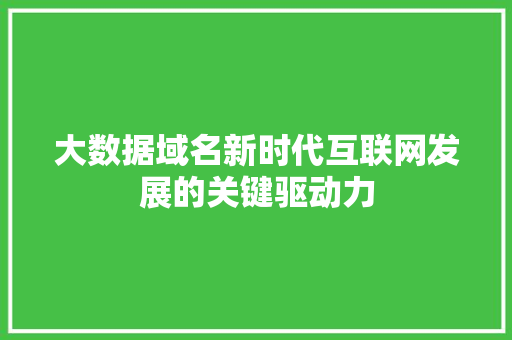 大数据域名新时代互联网发展的关键驱动力
