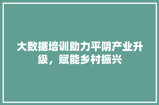 大数据培训助力平阴产业升级，赋能乡村振兴