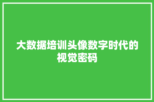 大数据培训头像数字时代的视觉密码 服务器/数据库