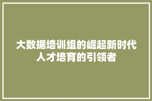 大数据培训组的崛起新时代人才培育的引领者