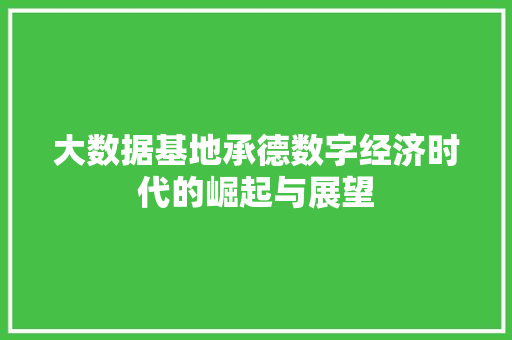 大数据基地承德数字经济时代的崛起与展望 服务器/数据库