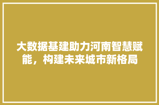 大数据基建助力河南智慧赋能，构建未来城市新格局