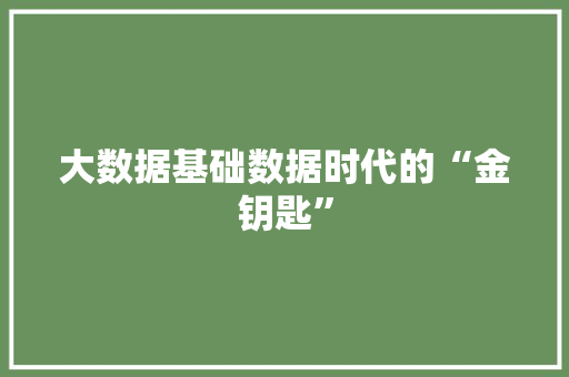 大数据基础数据时代的“金钥匙”