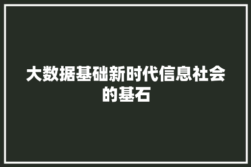 大数据基础新时代信息社会的基石