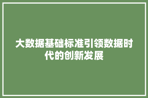 大数据基础标准引领数据时代的创新发展