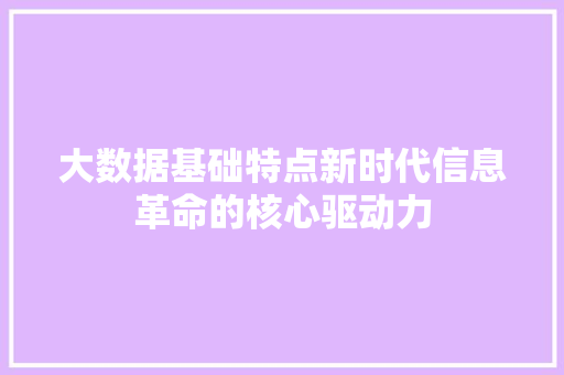 大数据基础特点新时代信息革命的核心驱动力