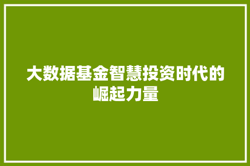 大数据基金智慧投资时代的崛起力量