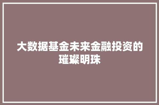 大数据基金未来金融投资的璀璨明珠
