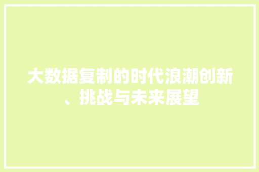 大数据复制的时代浪潮创新、挑战与未来展望 WordPress教程