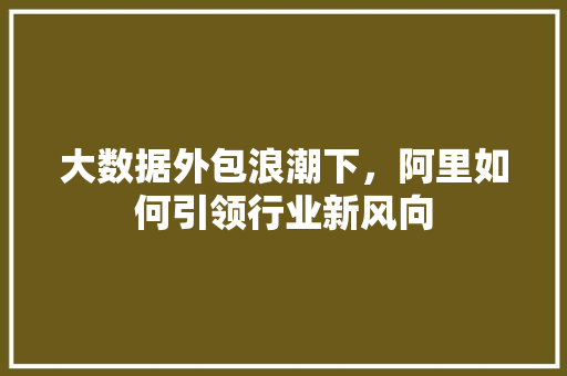 大数据外包浪潮下，阿里如何引领行业新风向 友链在线