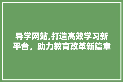 导学网站,打造高效学习新平台，助力教育改革新篇章